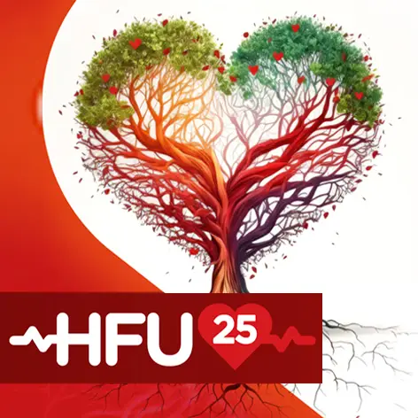 HF Update